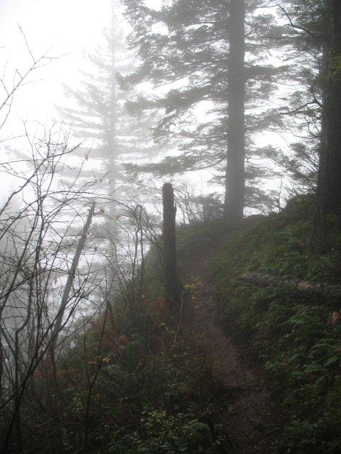 11.22.06 Cape Horn 004 